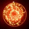 Xmas LED-es micro fényfüzér kültéri 10ágú/20db.micro LED, melegfehér