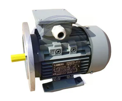 Villanymotor aszinkron 12AA562-2 2P. 0,09kW B3 230/400V 3F.