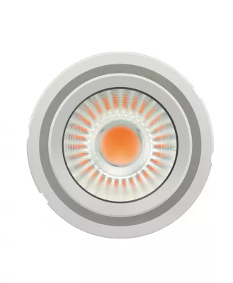 LED PL-CL111-COB-4300-830-40D-G2