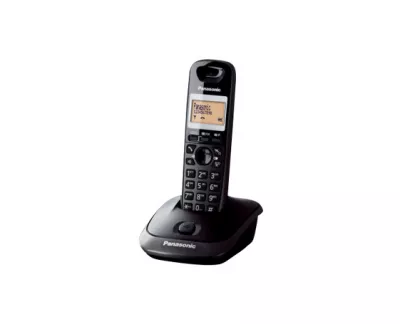 PANASONIC telefon KX-TG2511HGT